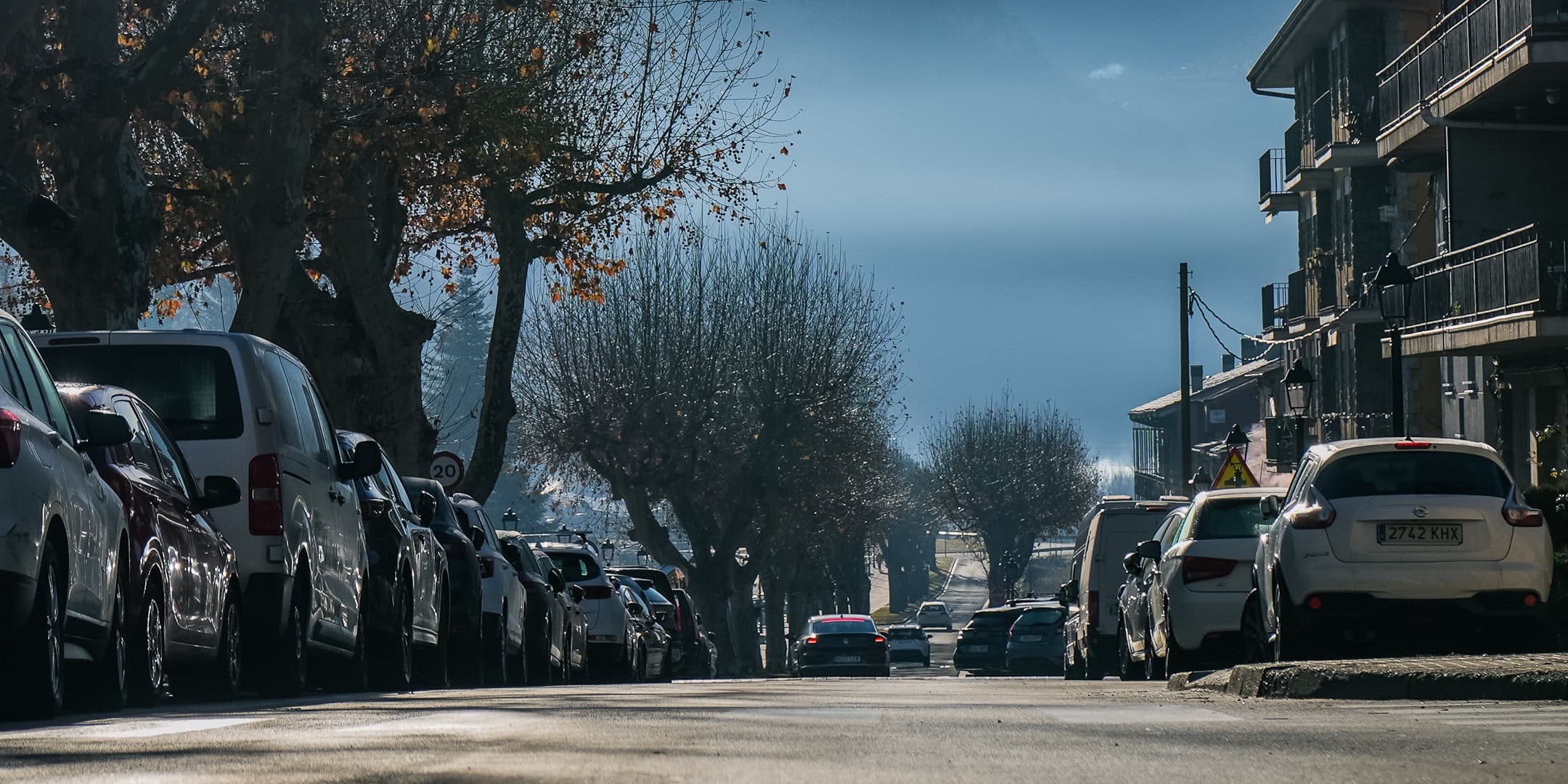 Tree-lined residential street in winter sunlight photographed by Eugene Truuts